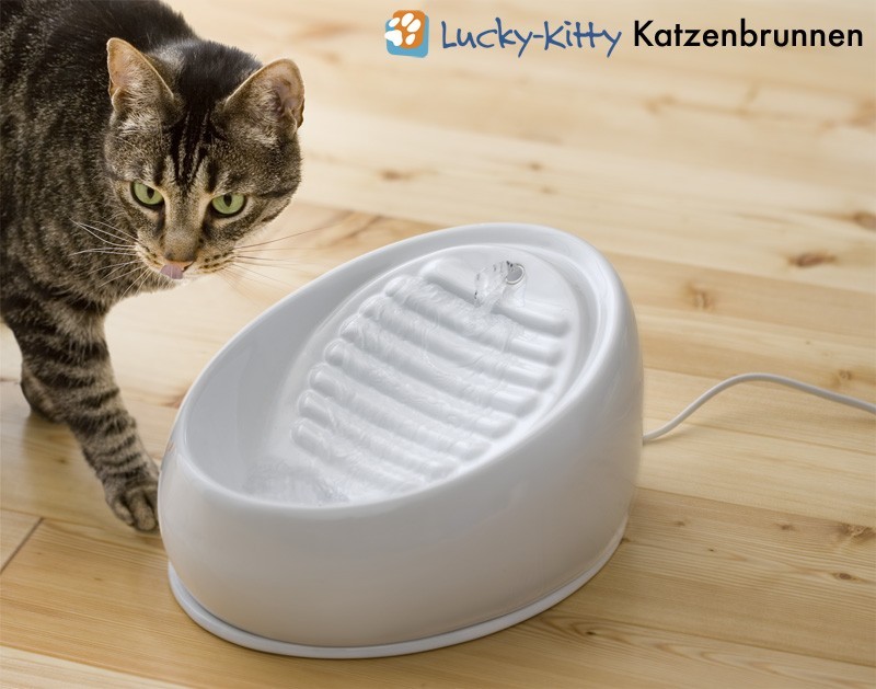 Lucky-Kitty Keramik Katzenbrunnen (weiss)  Lucky-Kitty: Katzenbrunnen,  gesundes Katzenfutter, Bio-Katzenstreu